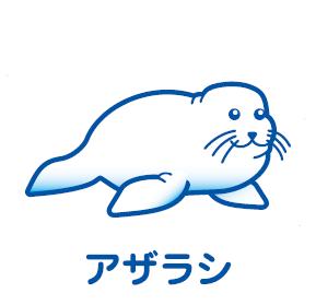 アザラシイラスト