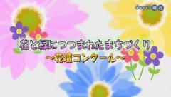 特集No.1281 「花と緑につつまれたまちづくり～花壇コンクール」