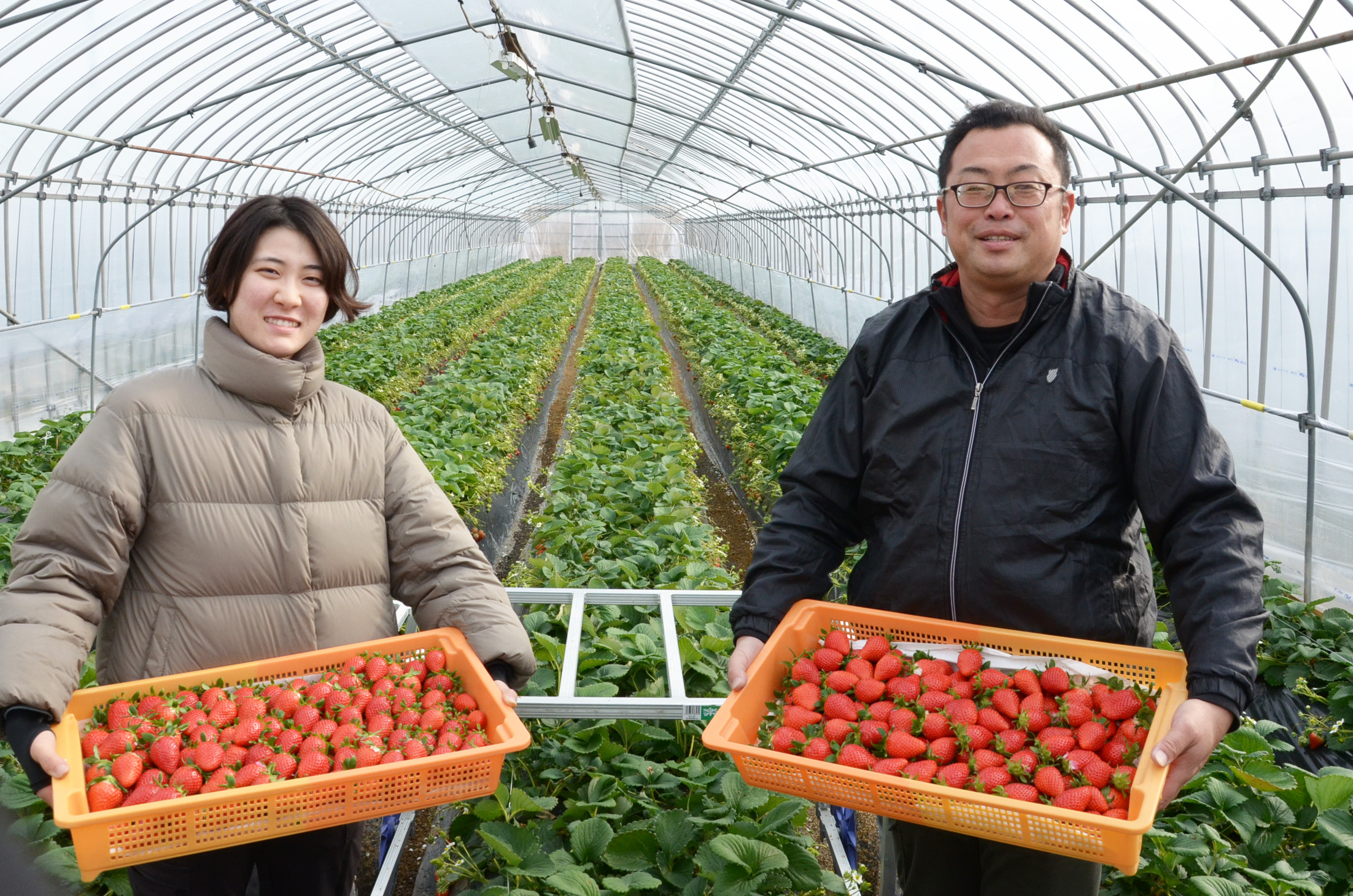 清水いちごメイン