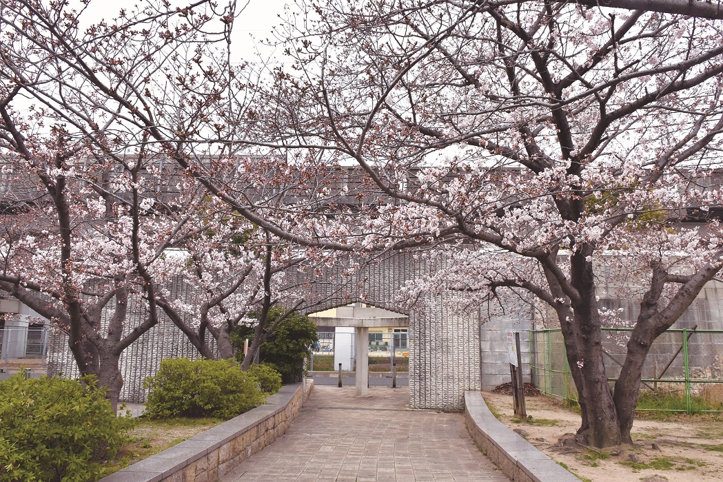 中尾親水公園（3月29日撮影）