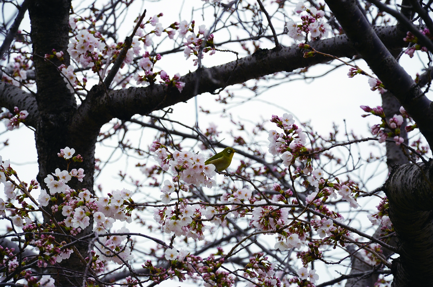 中尾親水公園