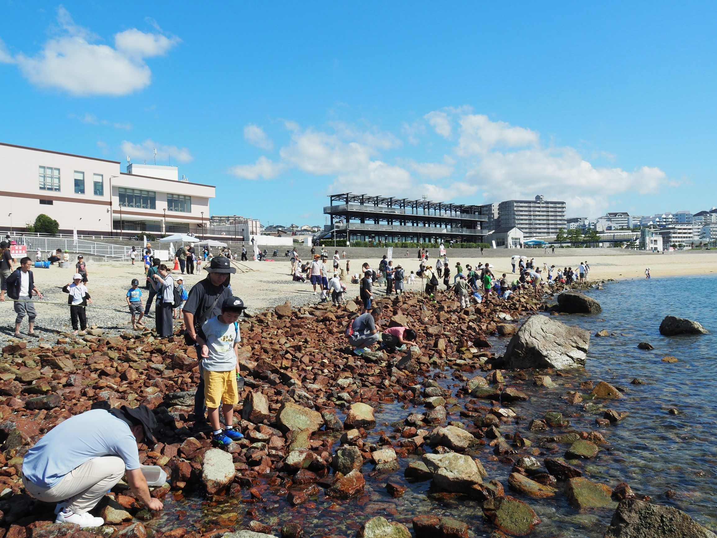 撮れたて情報 2024年10月12日 (1)