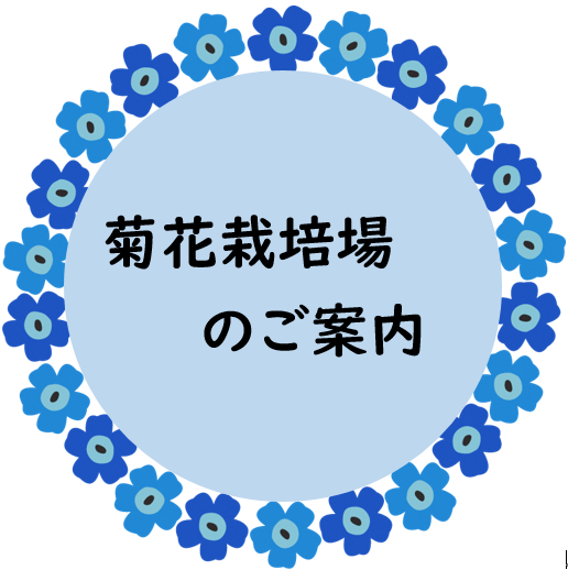 菊花栽培場のご案内